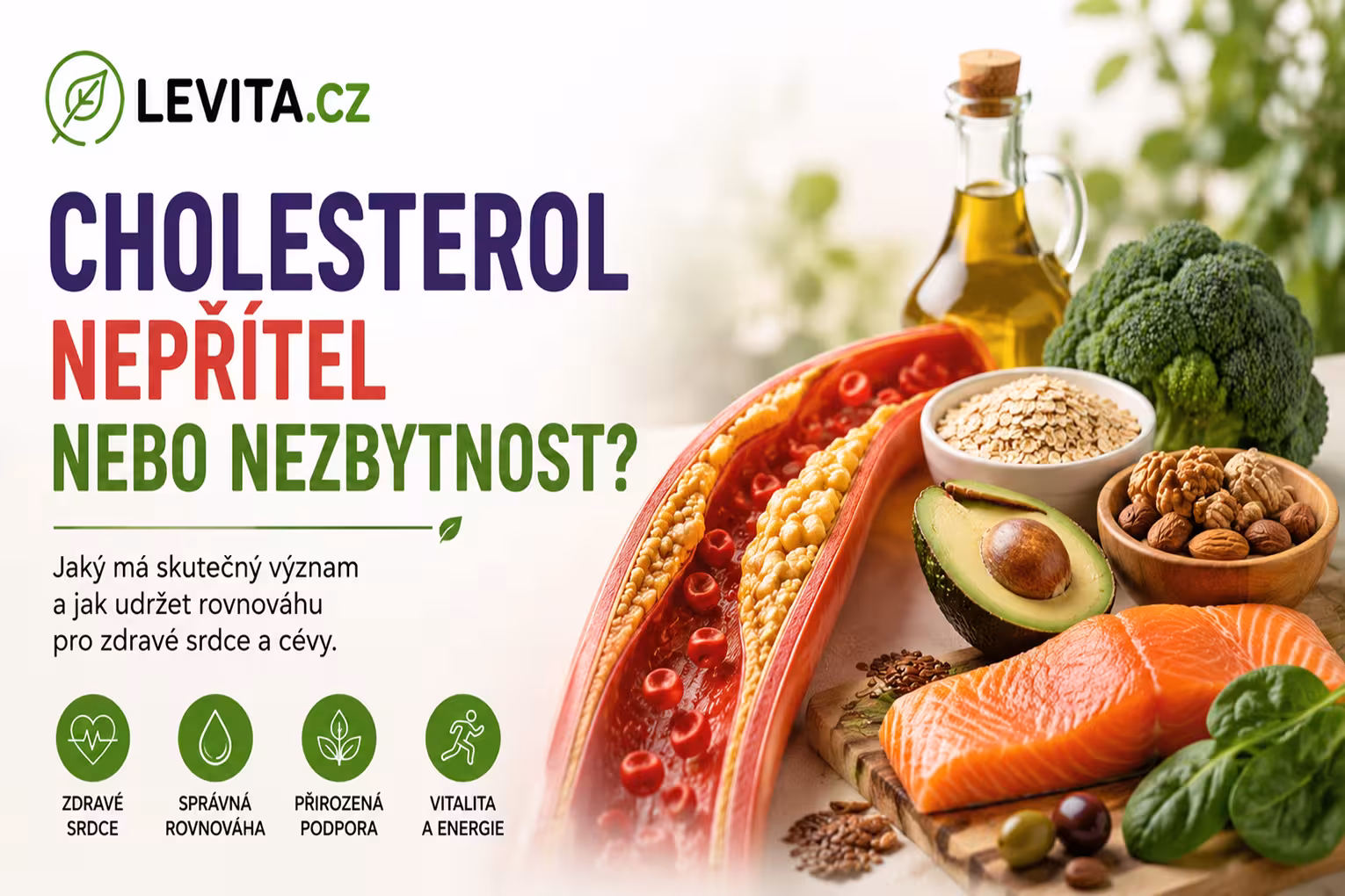 Cholesterol: nepřítel nebo nezbytnost? | Levita.cz