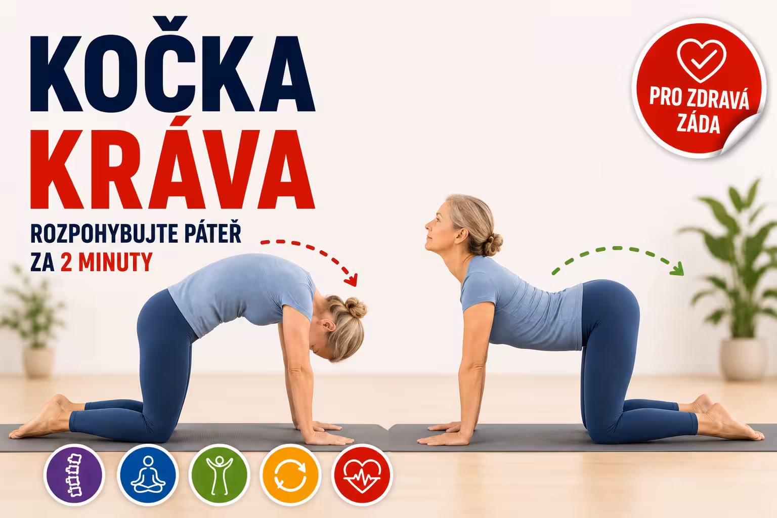 Kočka–kráva: Rozpohybujte páteř za 2 minuty | Levita.cz