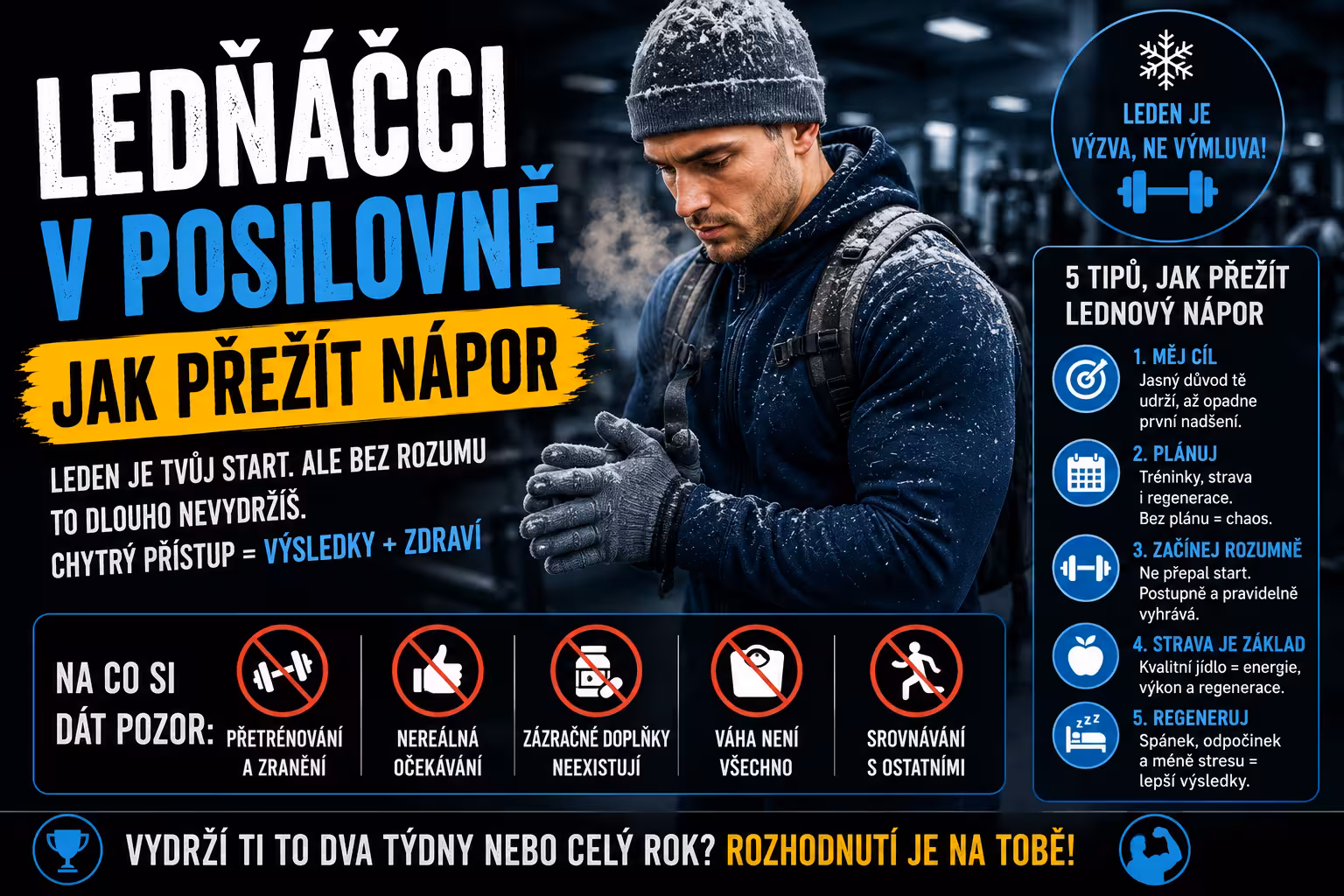 Ledňáčci v posilovně: jak přežít nápor | Levita.cz