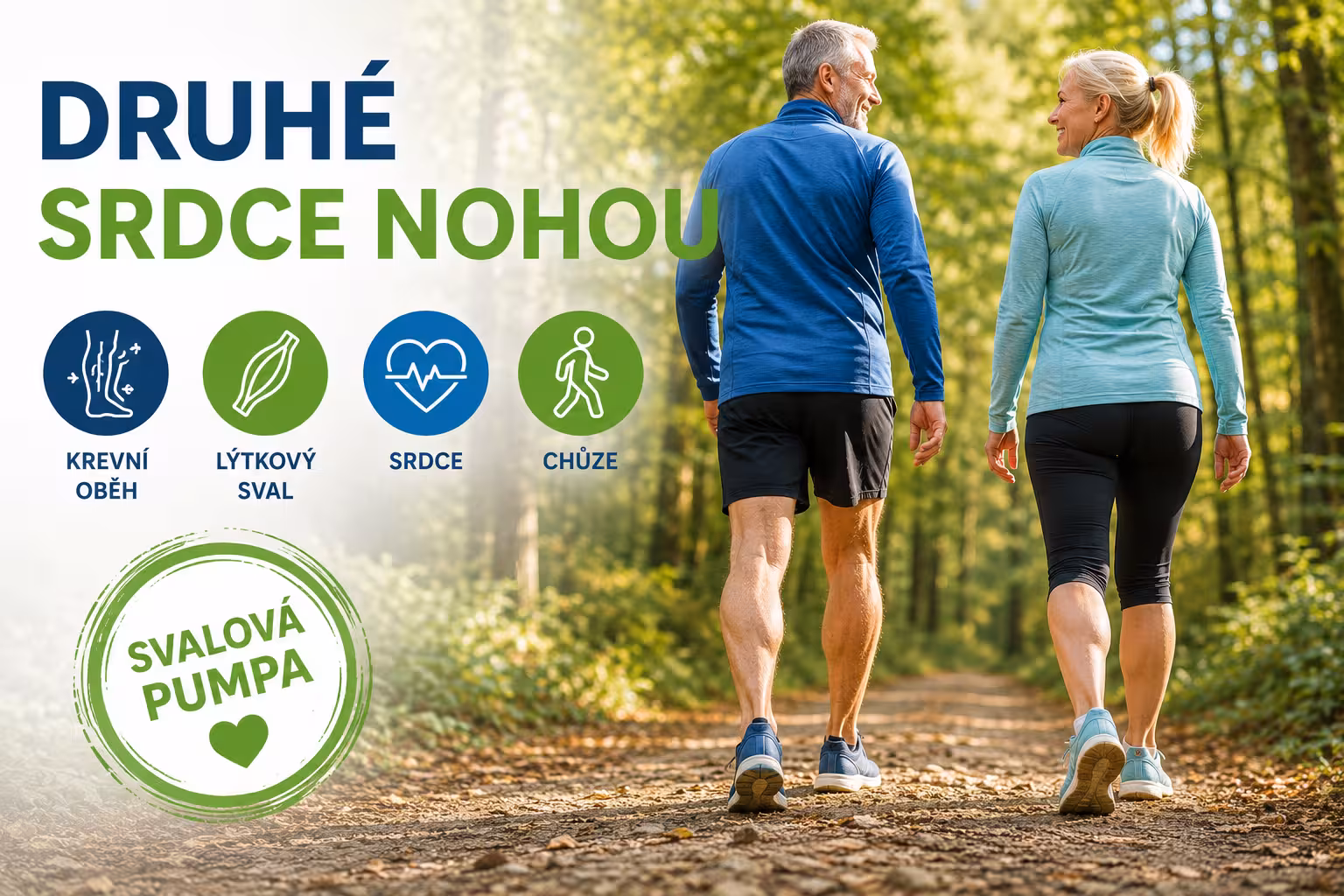 Lýtka jako druhý motor srdce: Jak svalová pumpa vrací krev zpět a proč se musí hýbat