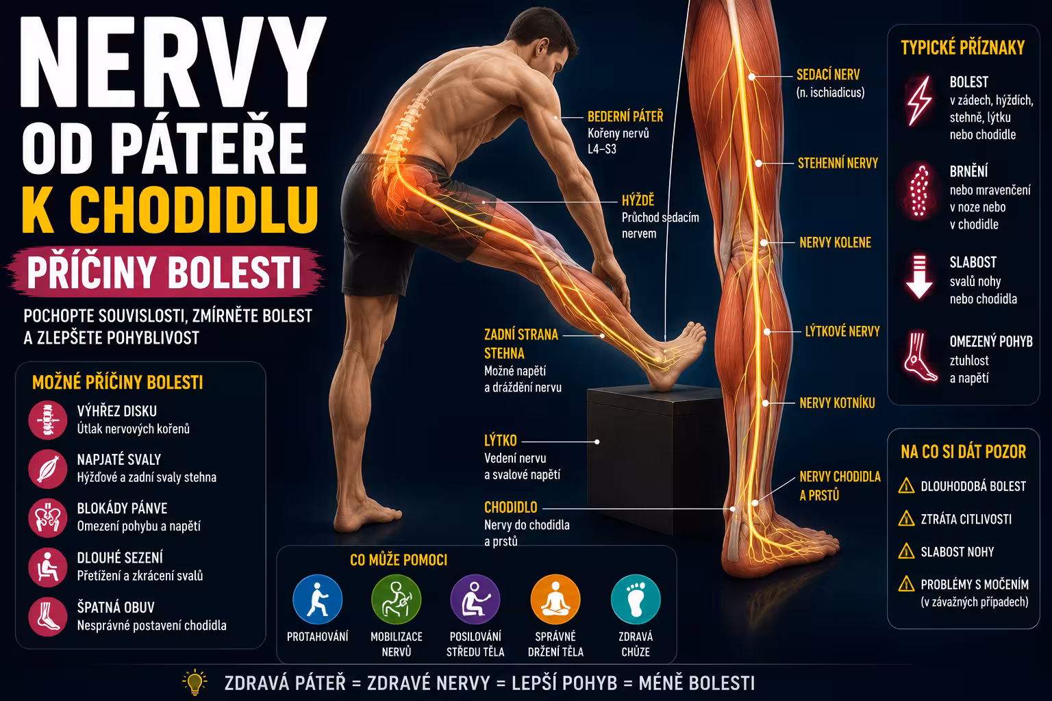 Nervy od páteře k chodidlu: příčiny bolesti | Levita.cz