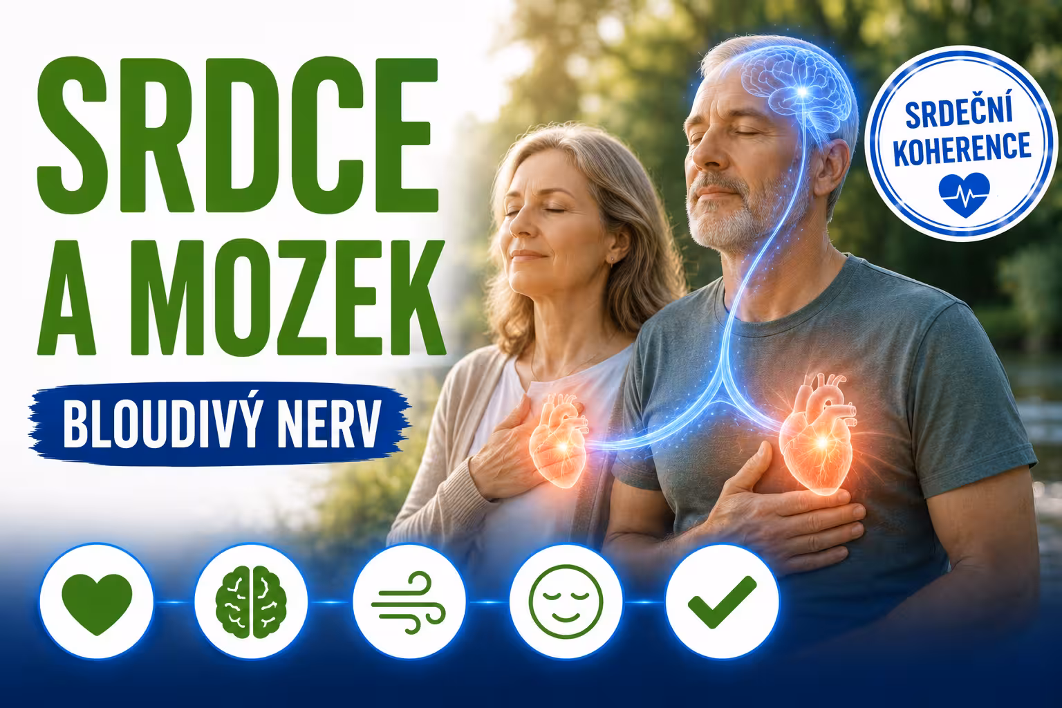 Srdce a mozek: Jak komunikují pro vnitřní klid | Levita.cz