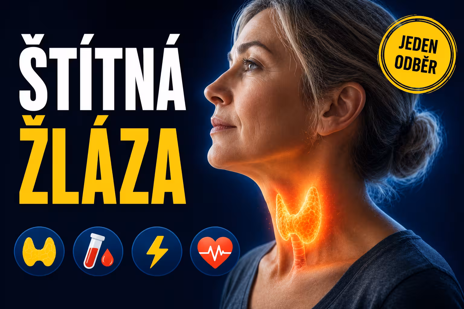 Štítná žláza: jeden odběr odhalí problém | Levita.cz