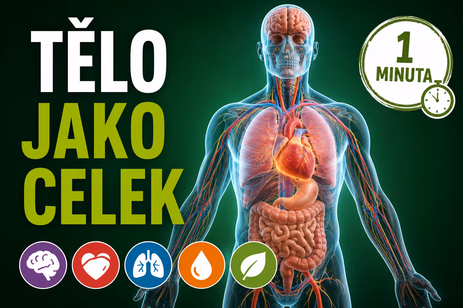 Lidské tělo jako symfonie: Proč vás bolí záda, když máte špatná játra? (video uvnitř)