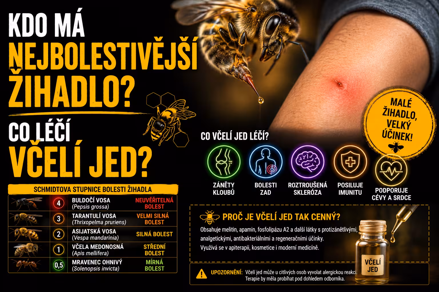 Bodnutí, které zabíjí i léčí: Kdo má nejbolestivější žihadlo, kolik včel vás zabije a proč si jed vpichujeme dobrovolně